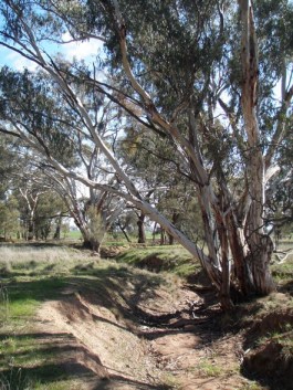 ???????????????????????????????