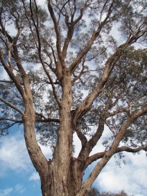 ???????????????????????????????