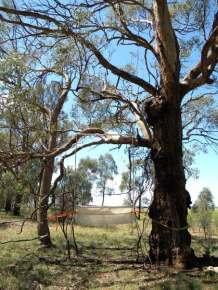 ???????????????????????????????